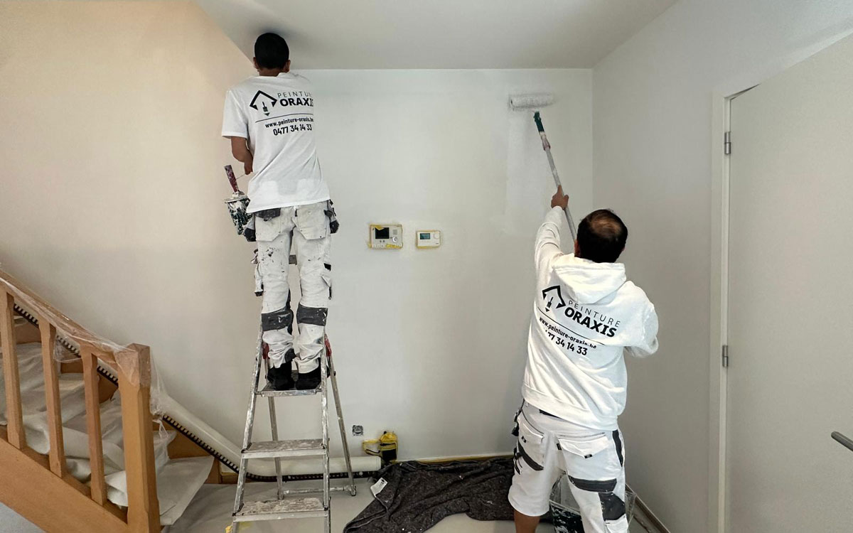 peintres professionnels a votre service