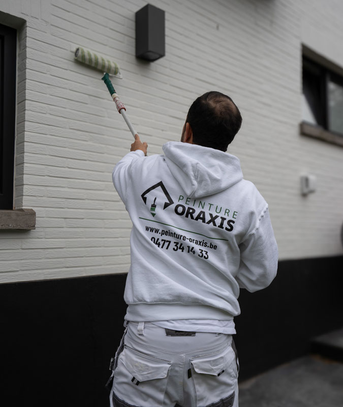 pourquoi faire appel a un peintre professionnel